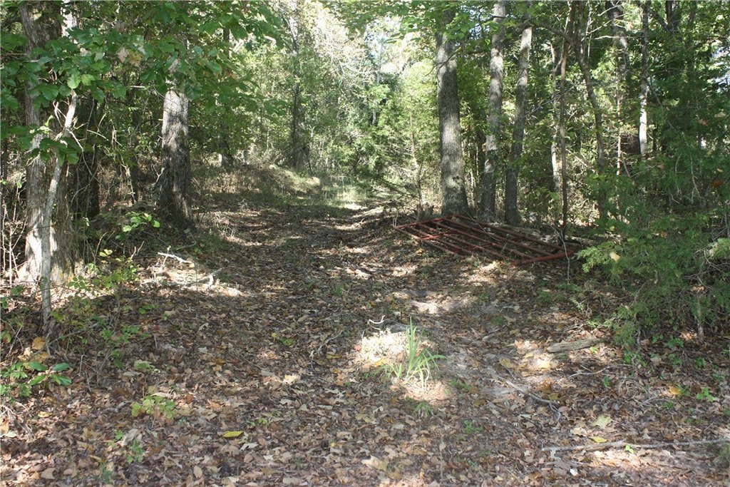 Picture 14