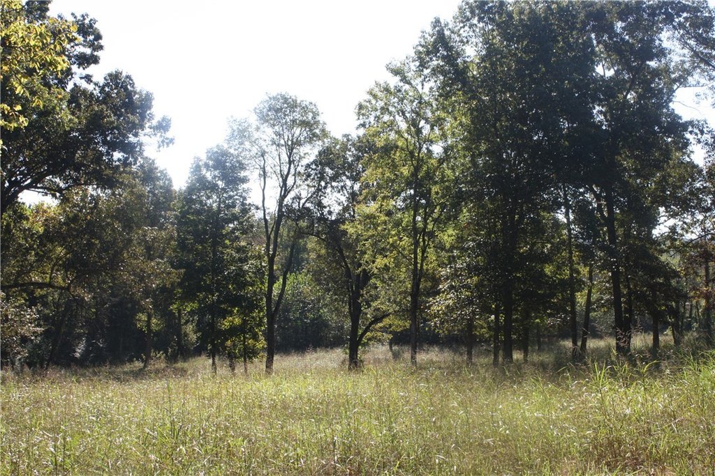 Picture 18