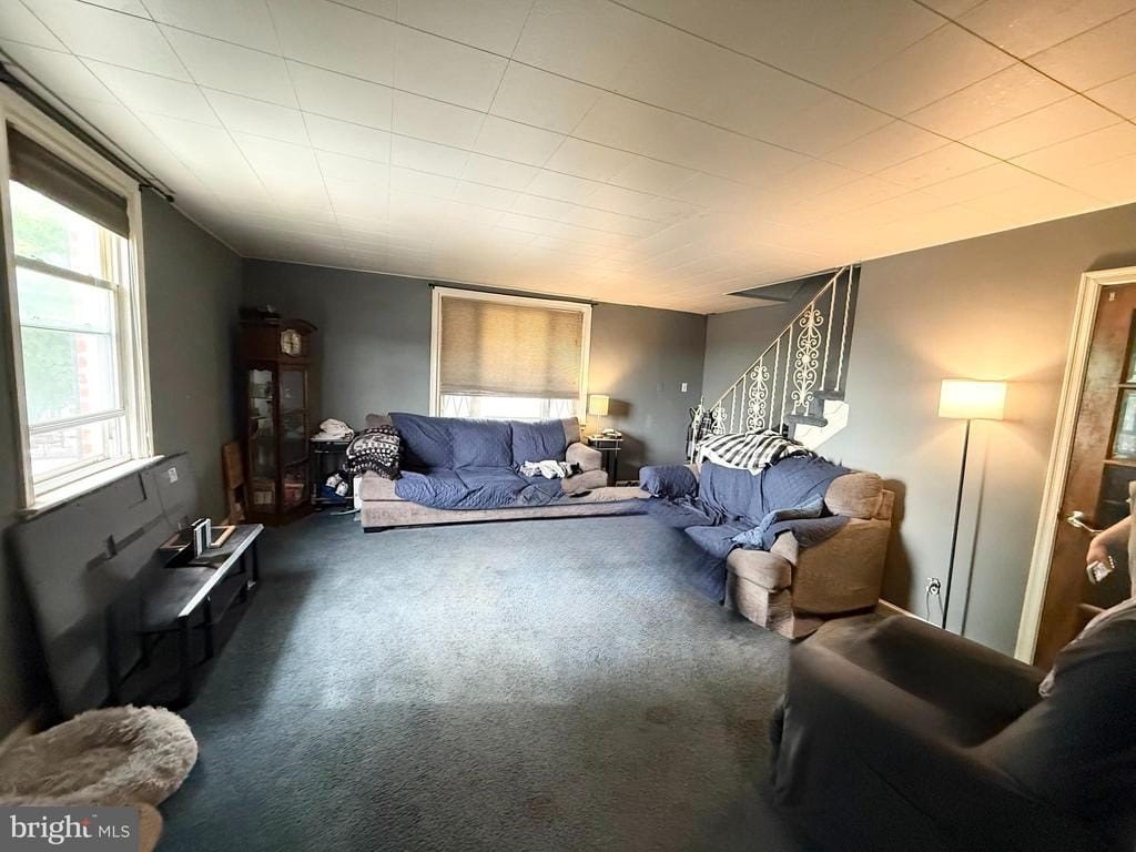 Picture 6