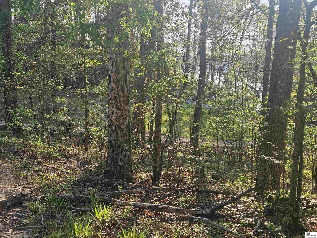 Picture 3