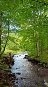 Unrestricted Land with Creek Frontage