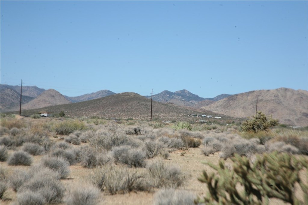Picture 4