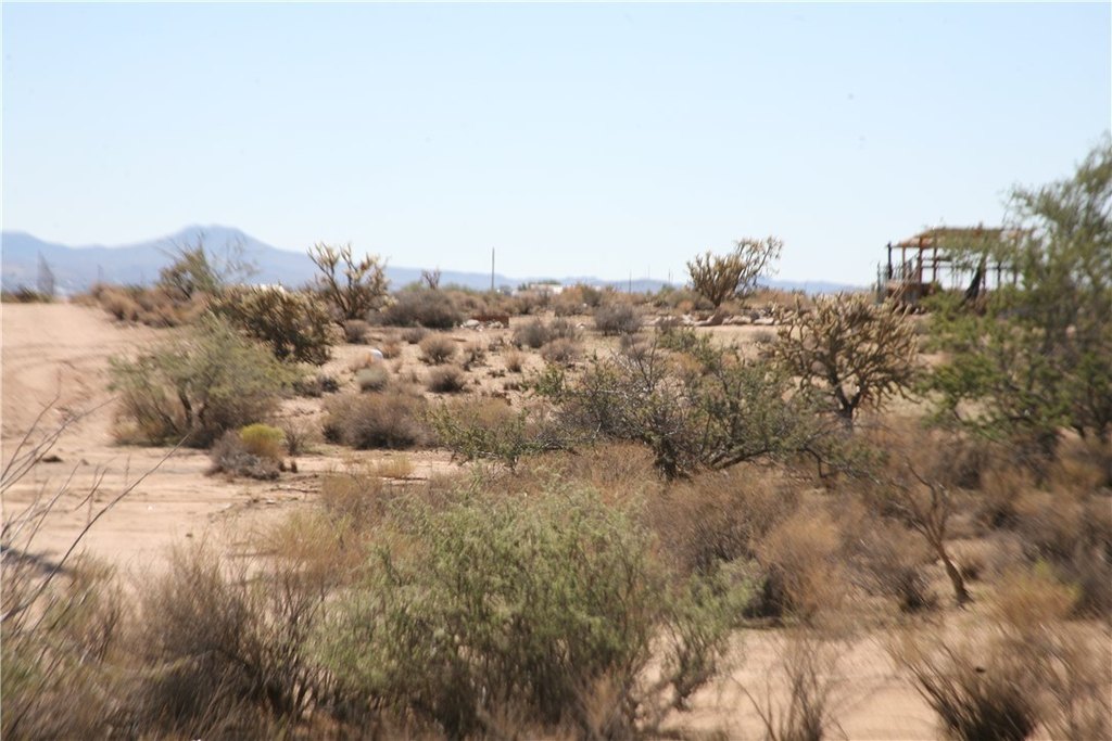 Picture 20