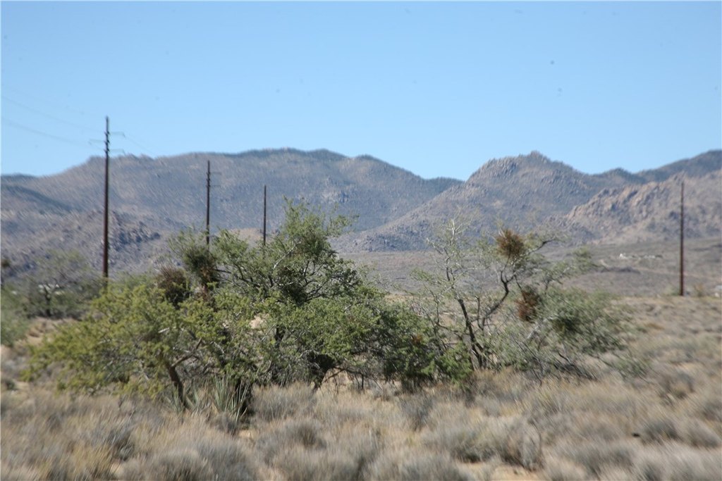 Picture 27
