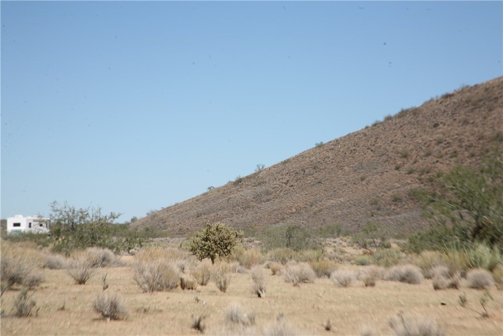 Picture 6