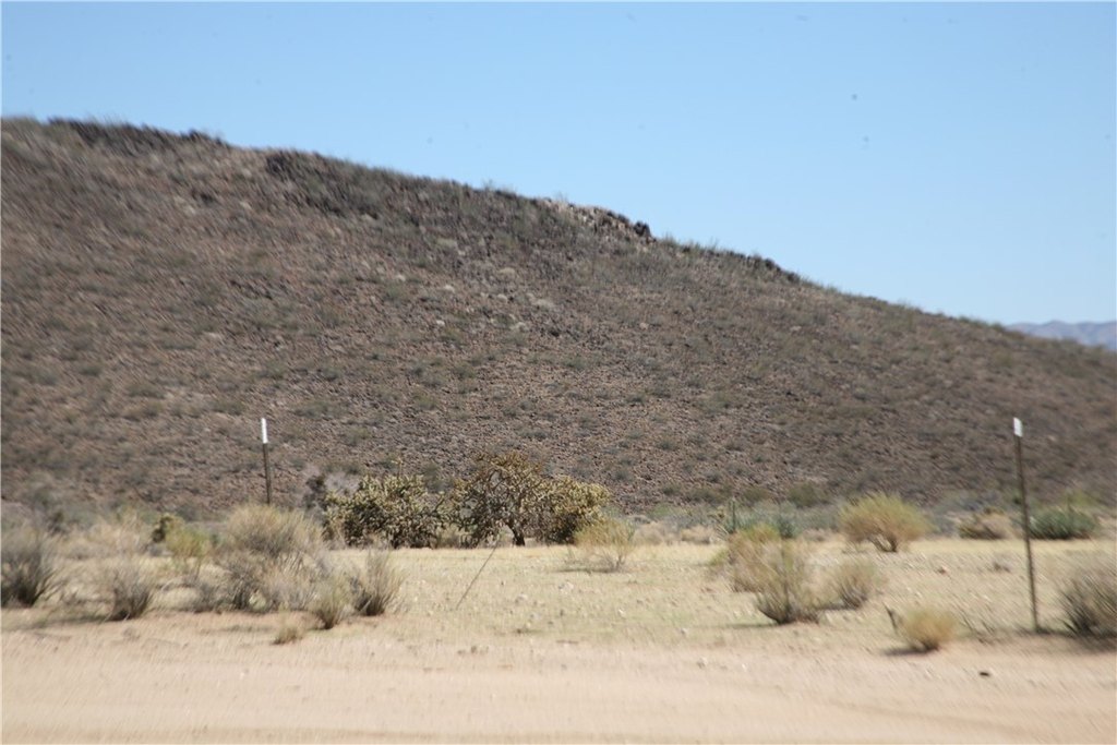Picture 10