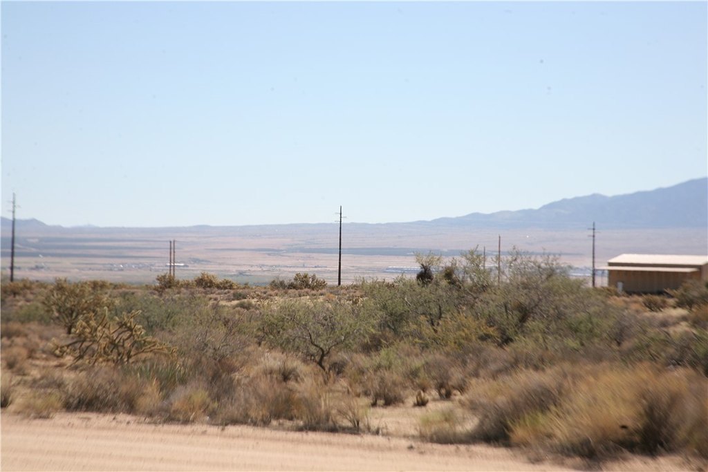 Picture 17