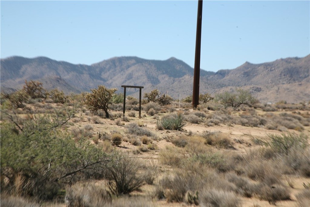 Picture 25