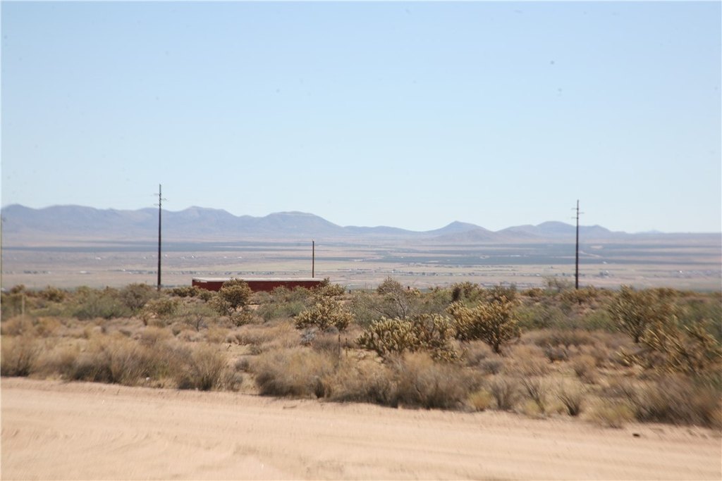 Picture 16