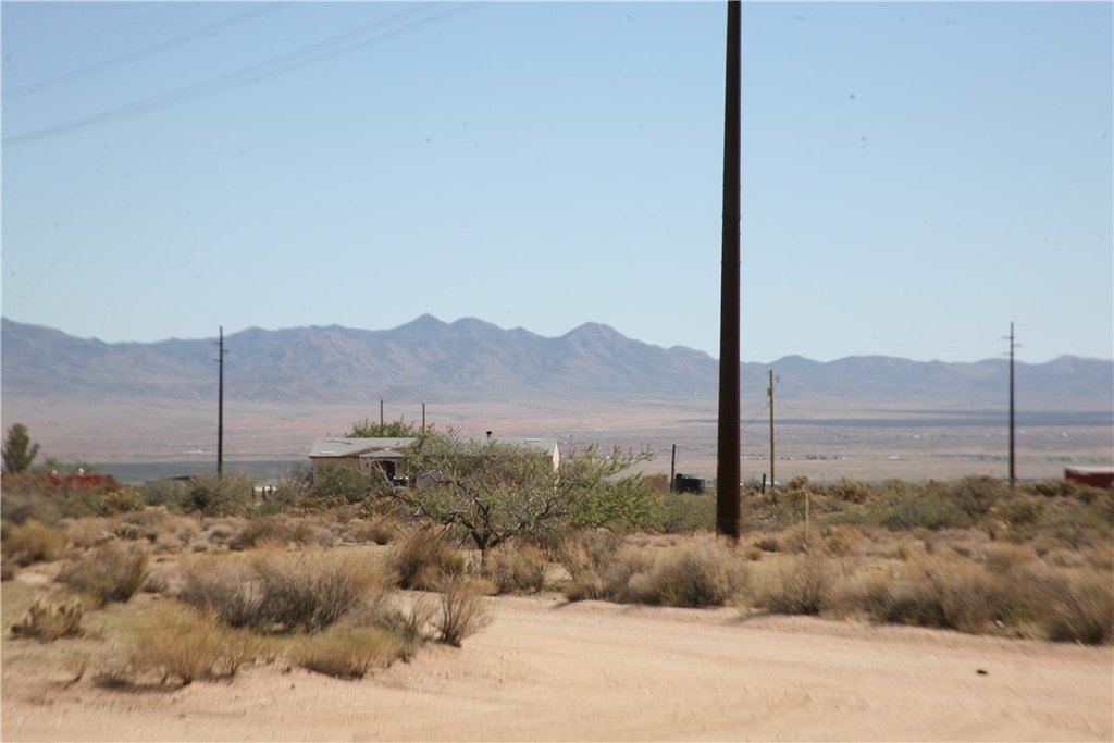 Picture 14