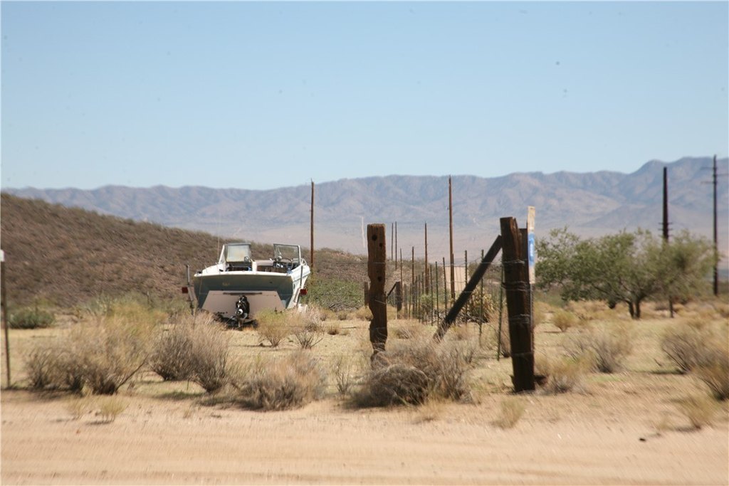 Picture 11