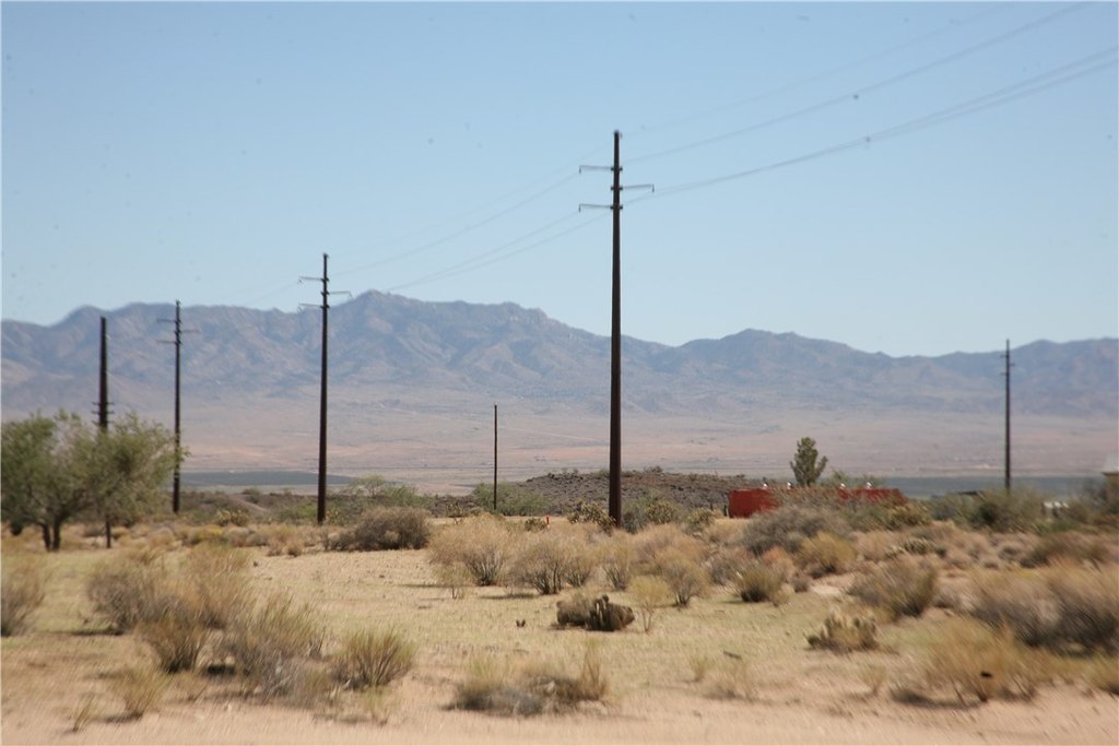 Picture 13