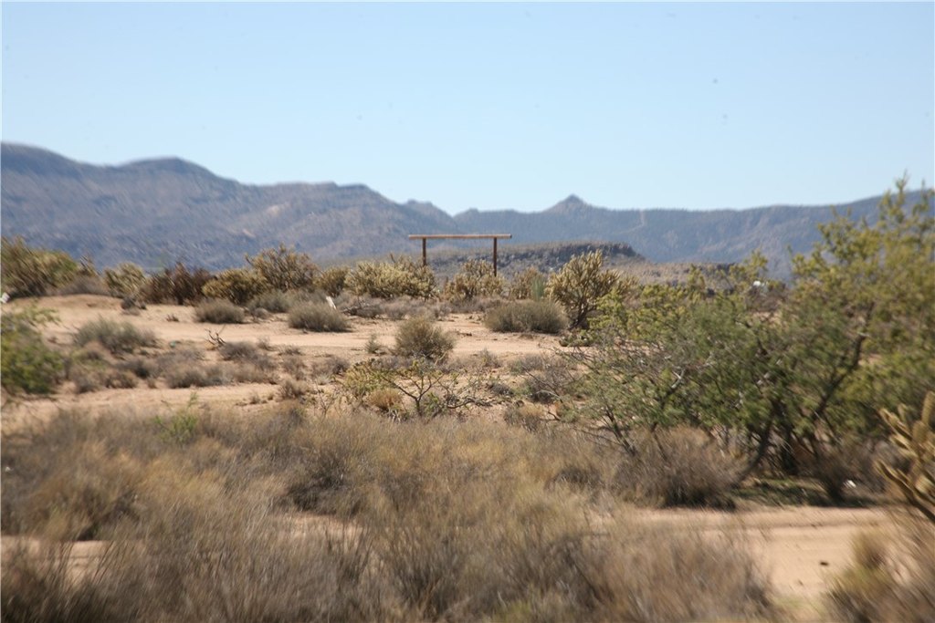 Picture 23