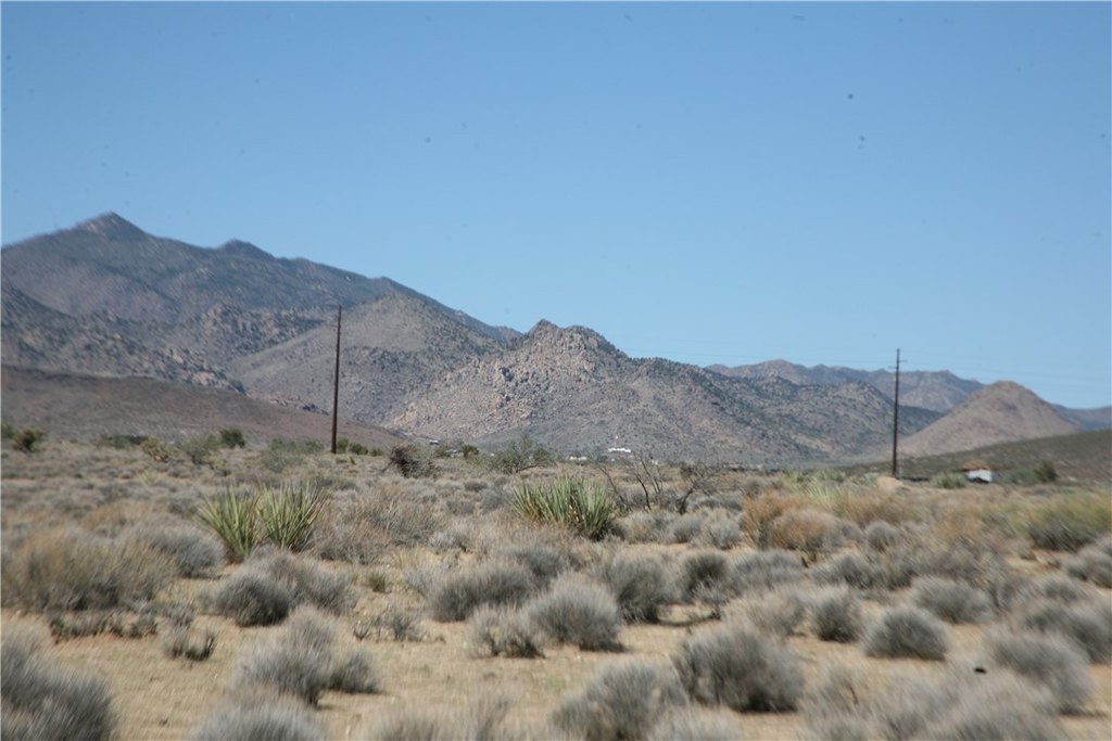 Picture 3