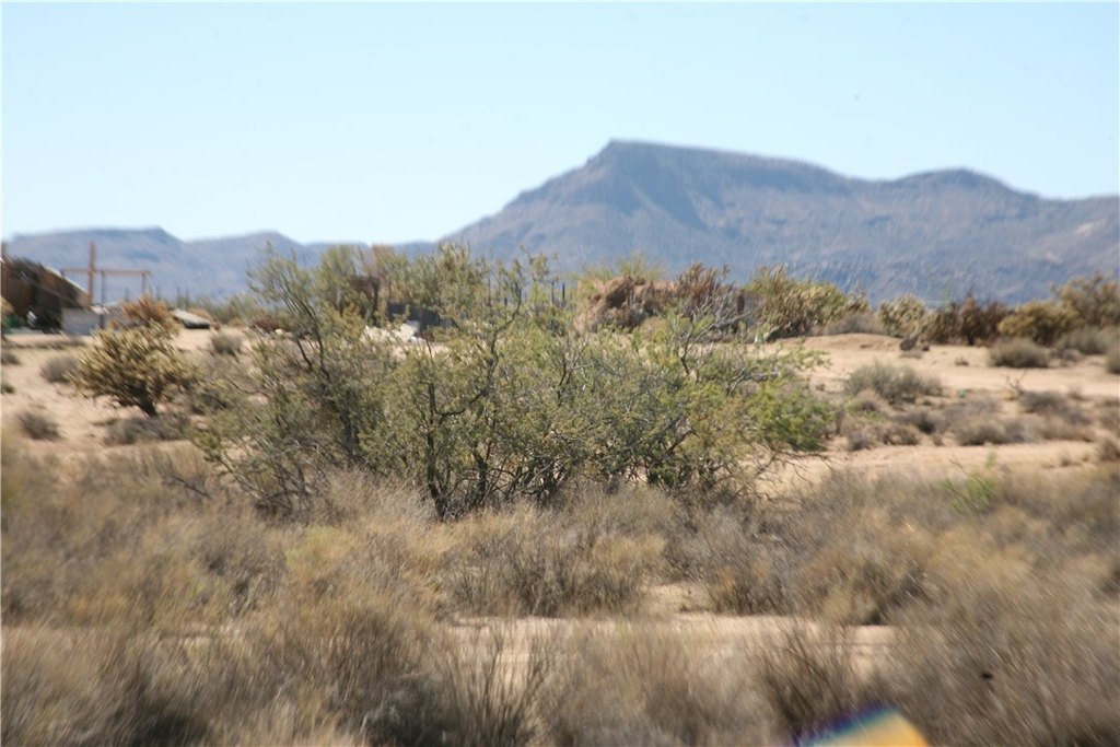 Picture 22