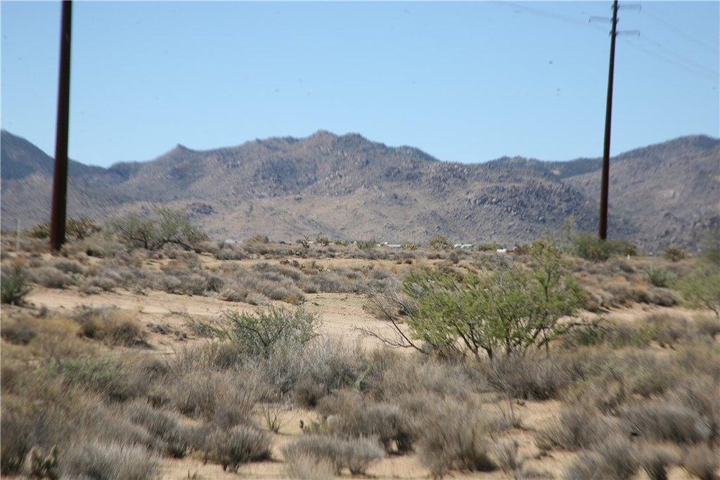 Picture 26