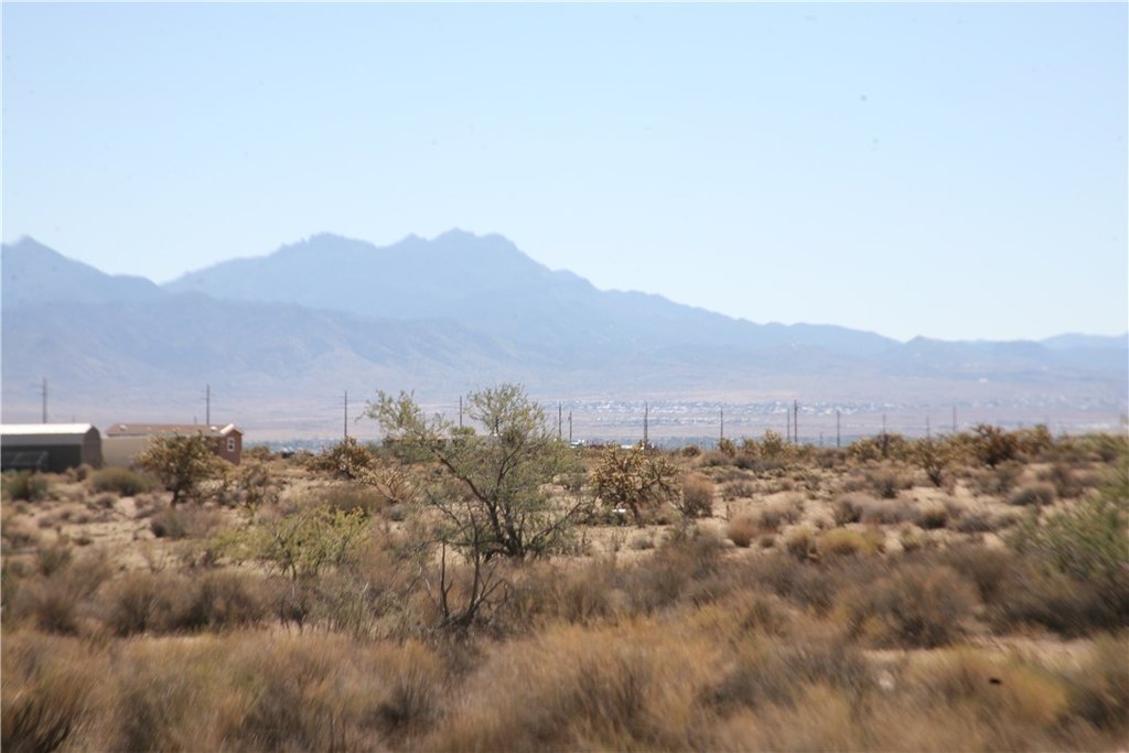 Picture 19
