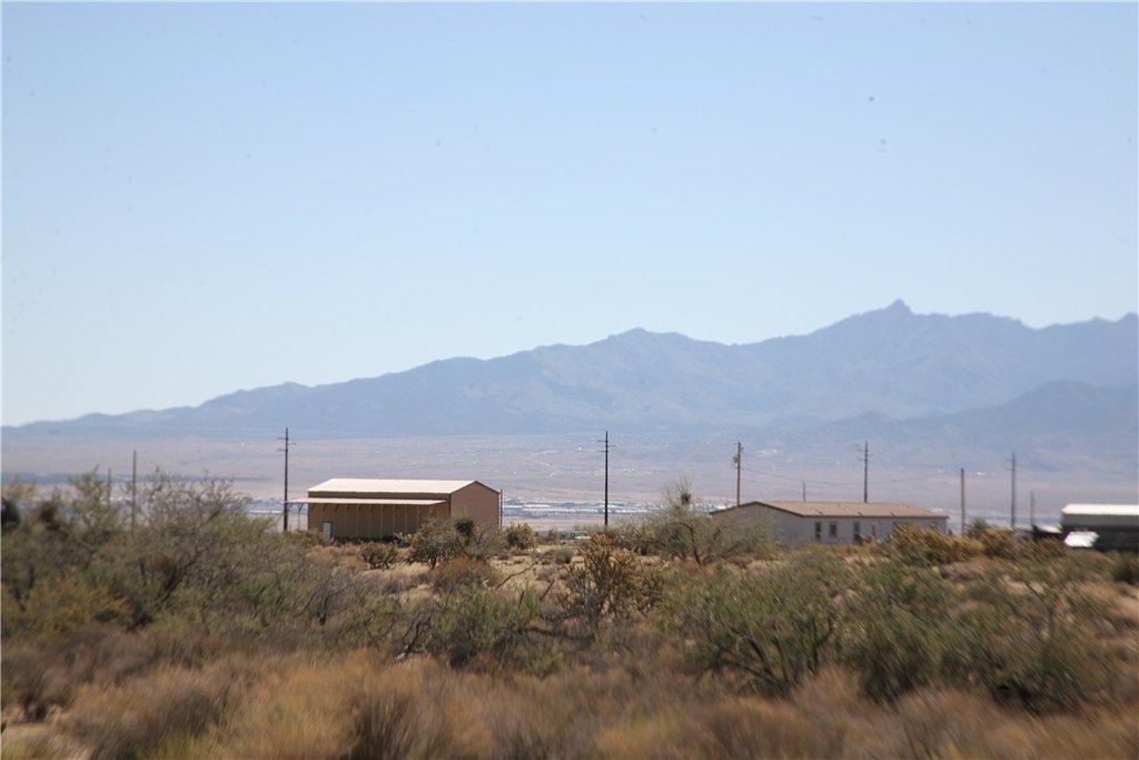 Picture 18