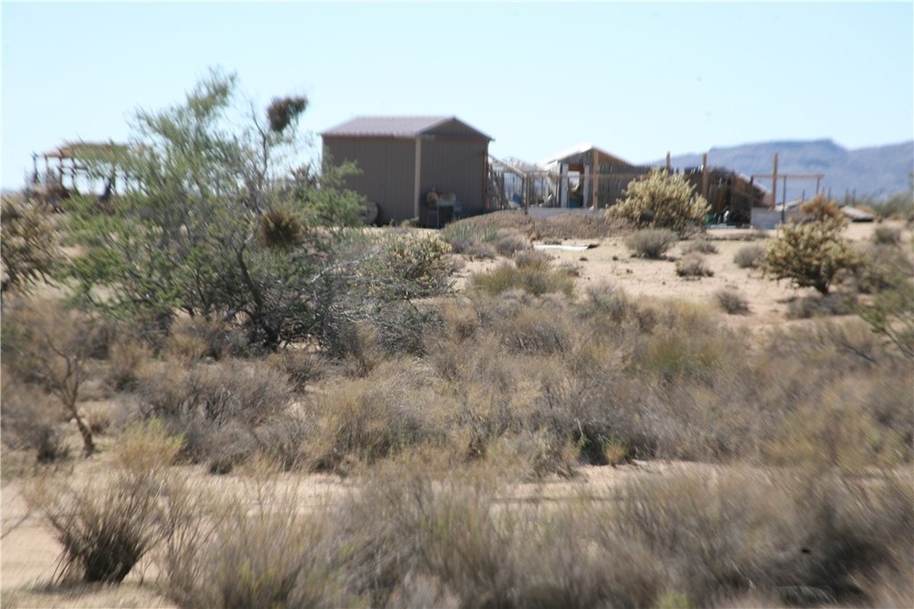 Picture 21