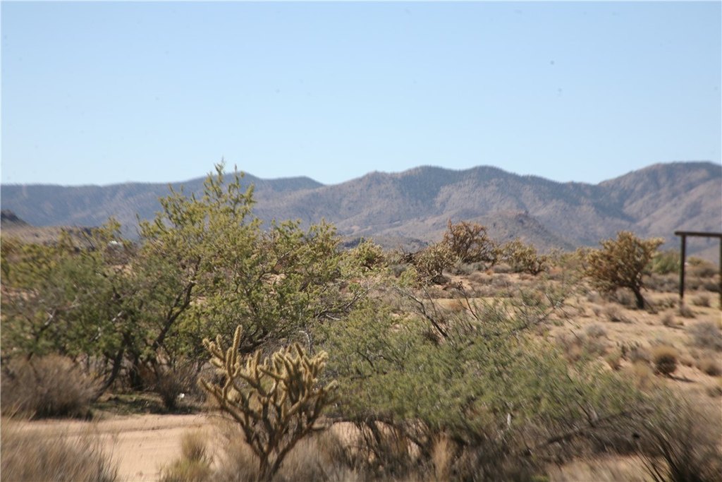 Picture 24