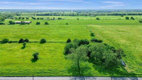 Level Farmland with Mature Trees