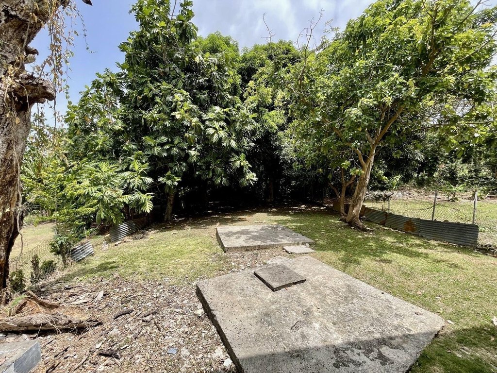 Picture 25