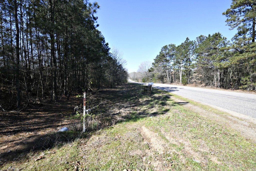 Picture 21
