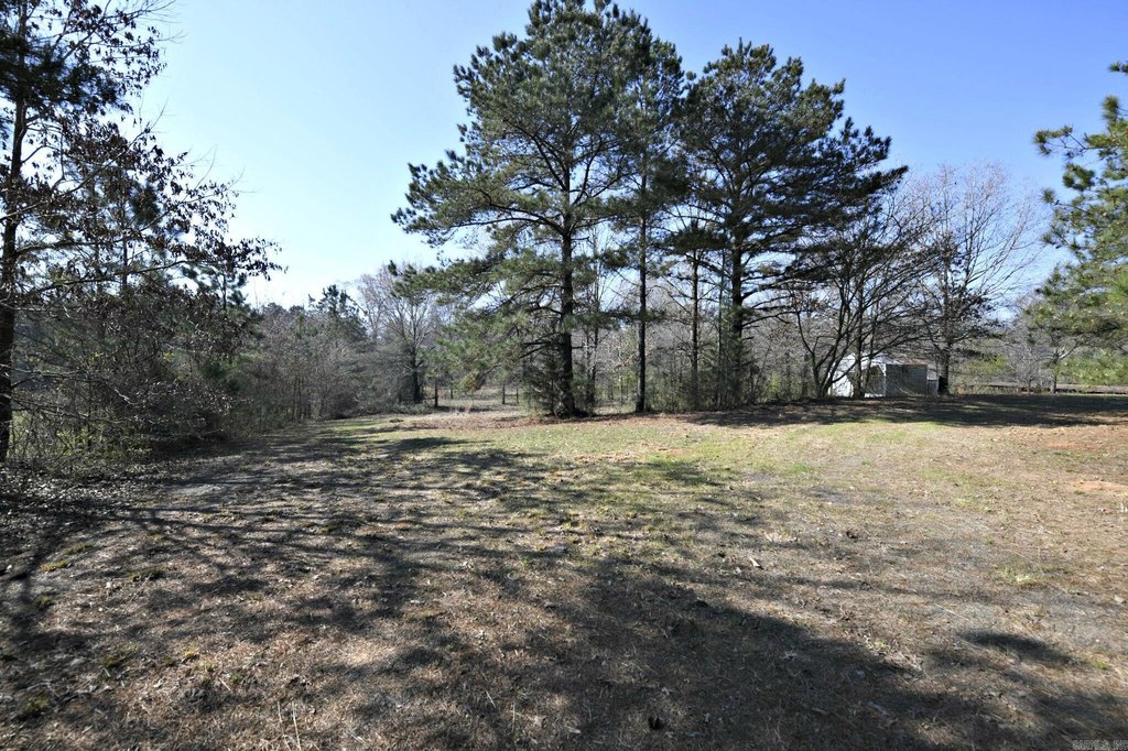 Picture 42