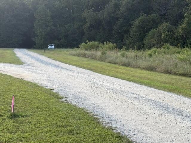 Picture 4