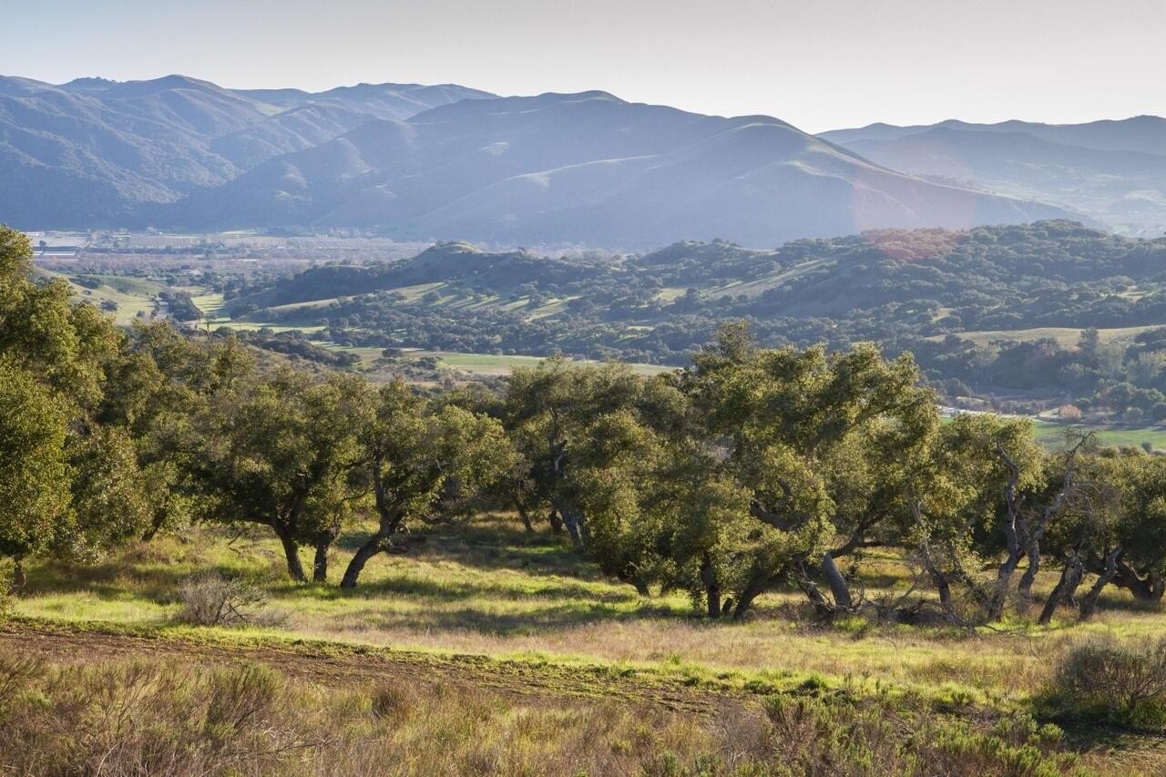 Secluded 20-Acre Ranch Parcel