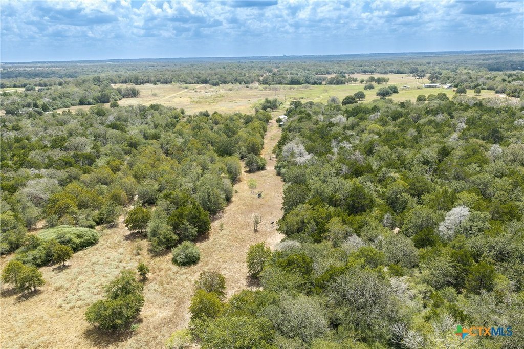 Picture 29