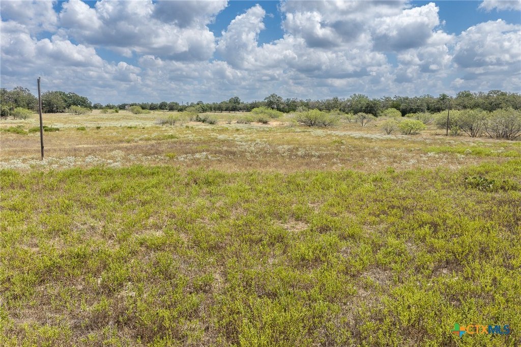 Picture 48
