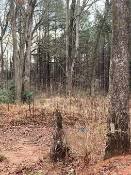 Development Opportunity Near Highway 42