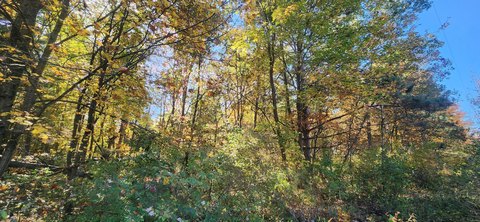 Land, Muskegon, MI