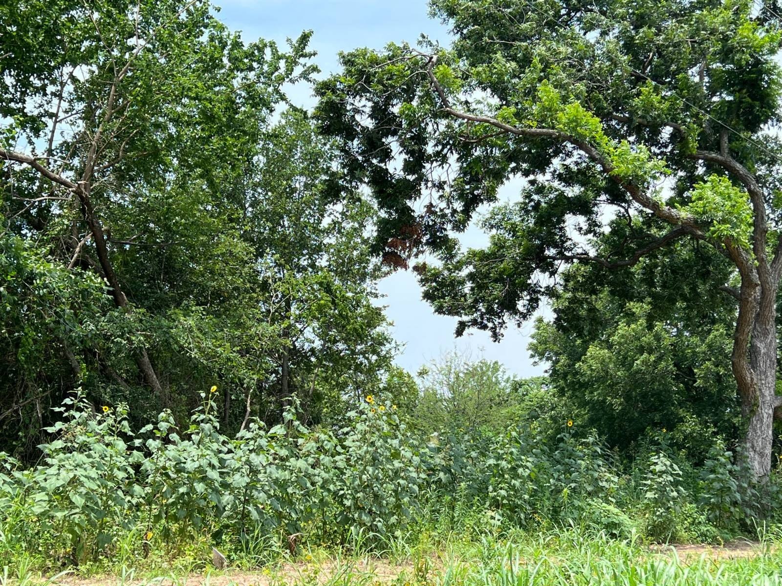 Land in Cedar Creek Community