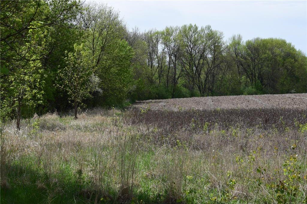 Picture 8