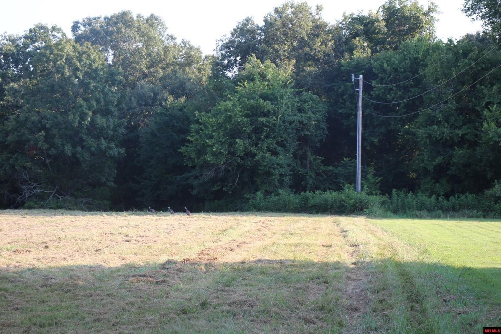 Picture 26