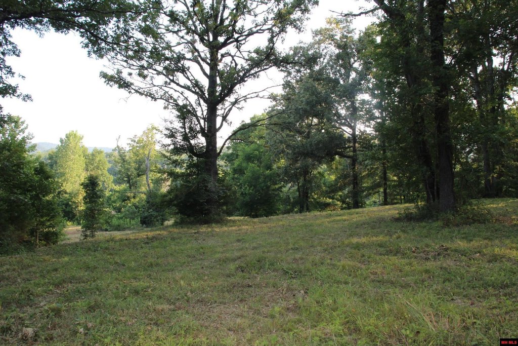 Picture 40
