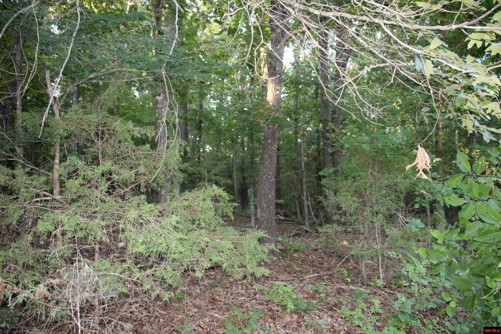 Picture 35