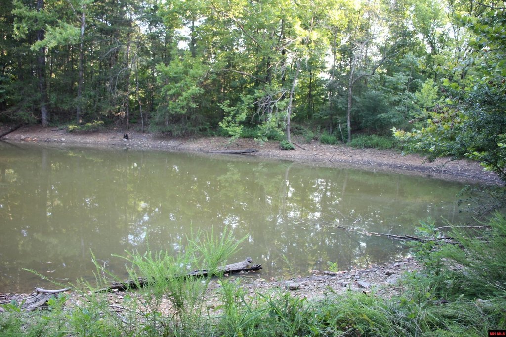 Picture 37