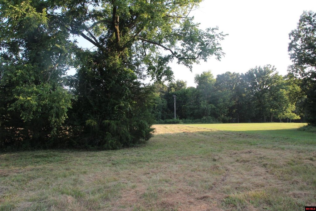 Picture 28