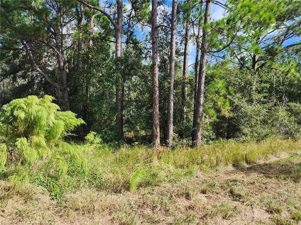 Picture 6