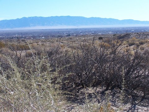 Land, Belen, NM