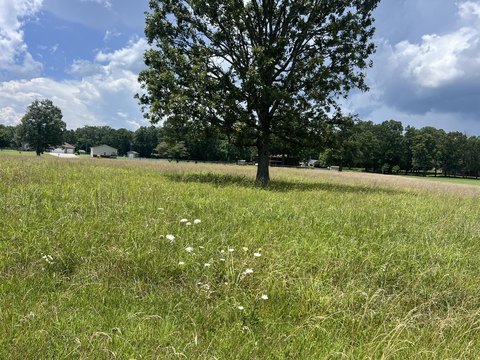 Residential Lot in Greenland Hills