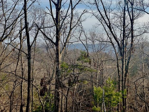 Blue Ridge Mountain View Lot