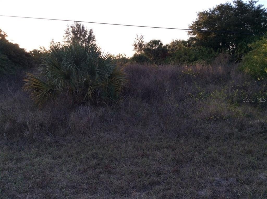Picture 6