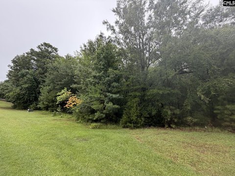 LAND - Prosperity, SC