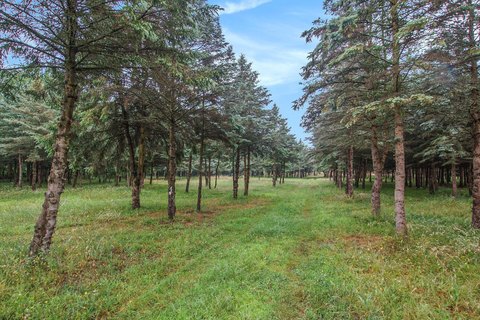 LAND - West Olive, MI