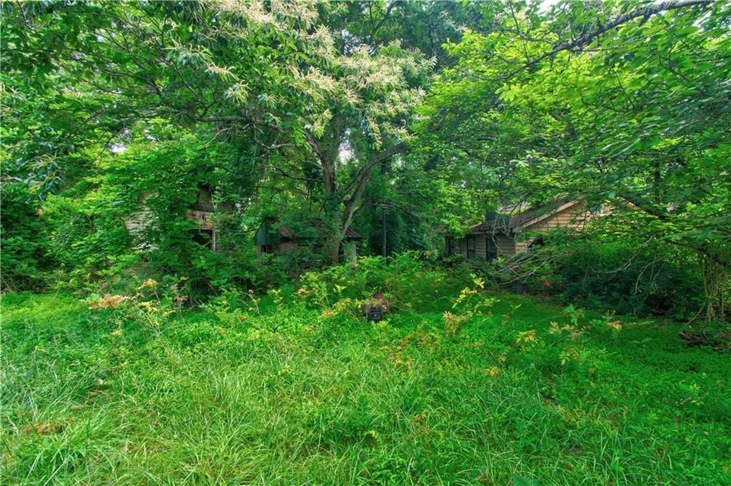 Picture 9