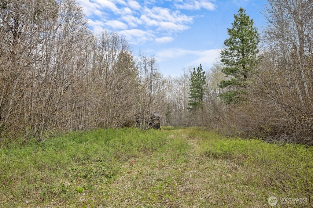 Picture 24